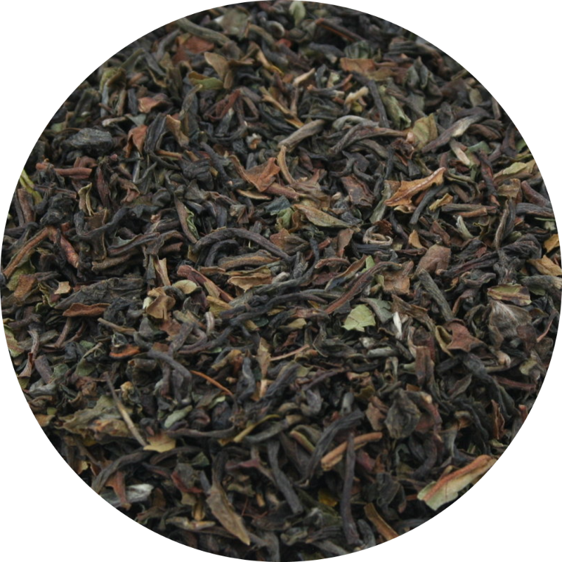 Darjeeling first flush