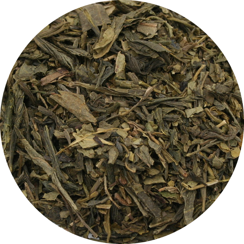 Sencha