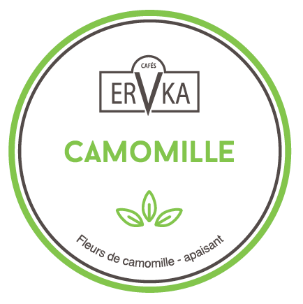 Camomille | Infusion