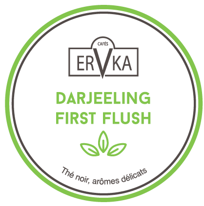 Darjeeling first flush | Thé noir